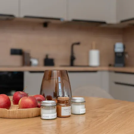 Apartament Retro Design Spot Close To Off-piotrkowska Łódź